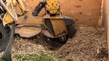 How to Clean Up After Stump Grinding?