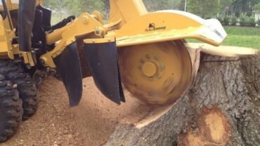 The Underlying Benefits of Grinding Off Tree Stumps From Your Property